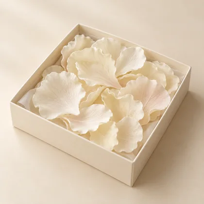 The Wafer Petal Edit, concept photograph